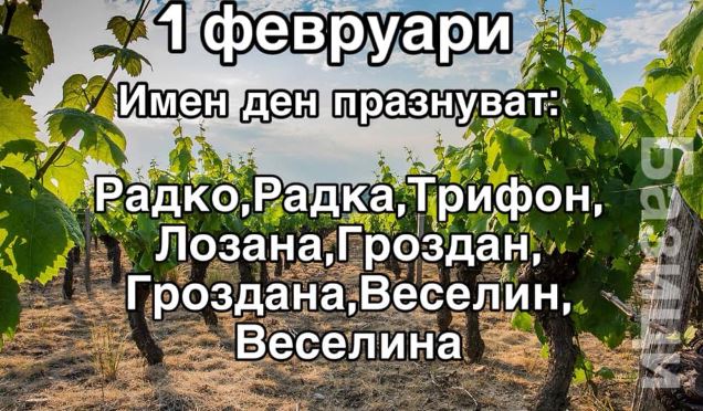 Име:  1 Fevruari.JPG
Разглеждания: 2727
Размер:  90,5 КБ